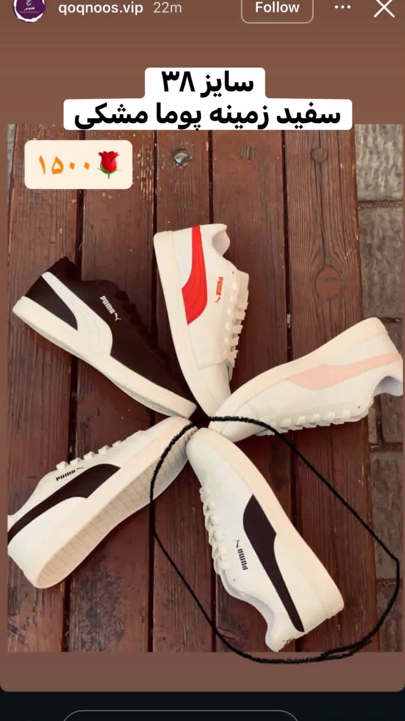 ونس پوما